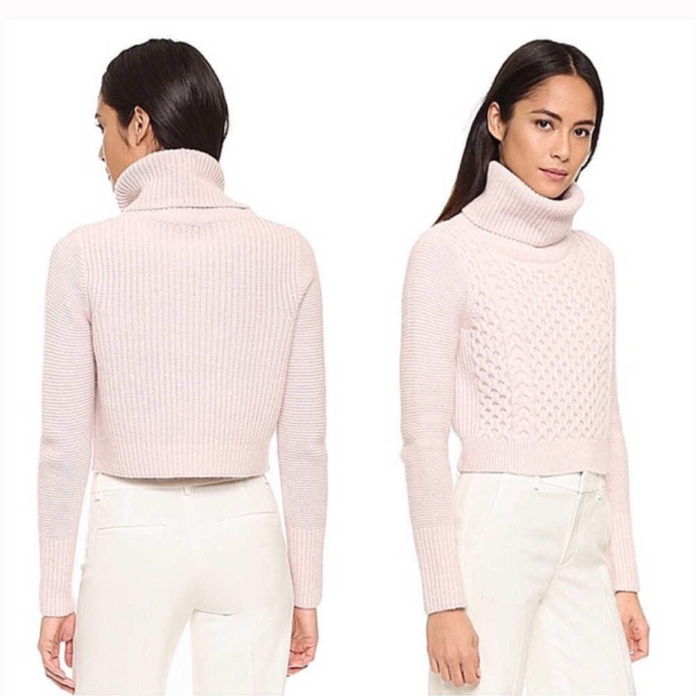 Club Monaco Leala Cropped Turtleneck Sweater